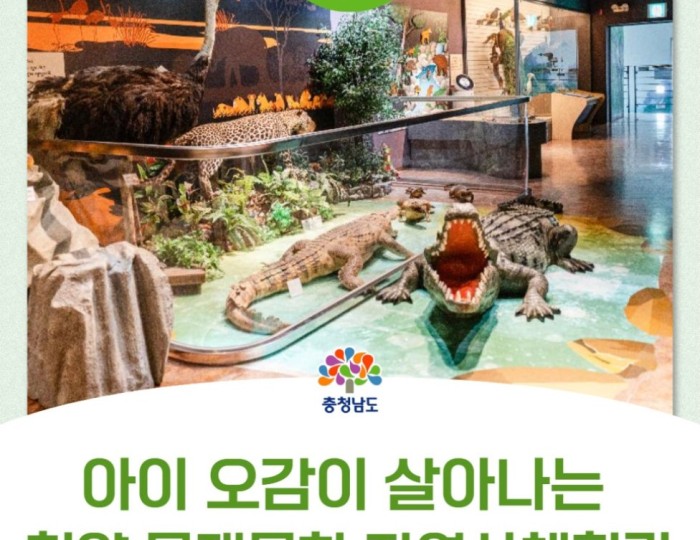 Exploring the Cheongyang Wood Culture Natural History Experience Center in Chungcheongnam-do float