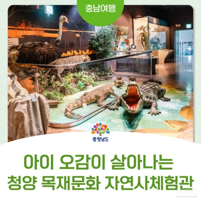 Exploring the Cheongyang Wood Culture Natural History Experience Center in Chungcheongnam-do2768
