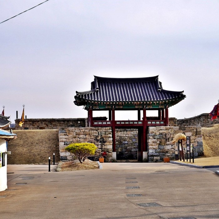 Wishes Granted by a Thousand-Year-Old Tree: Writing Wishes at the Dongjin Ginkgo Tree2764