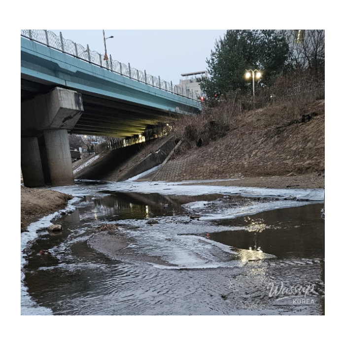 Exploring the Serenity of Seongsa Stream in Goyang City327
