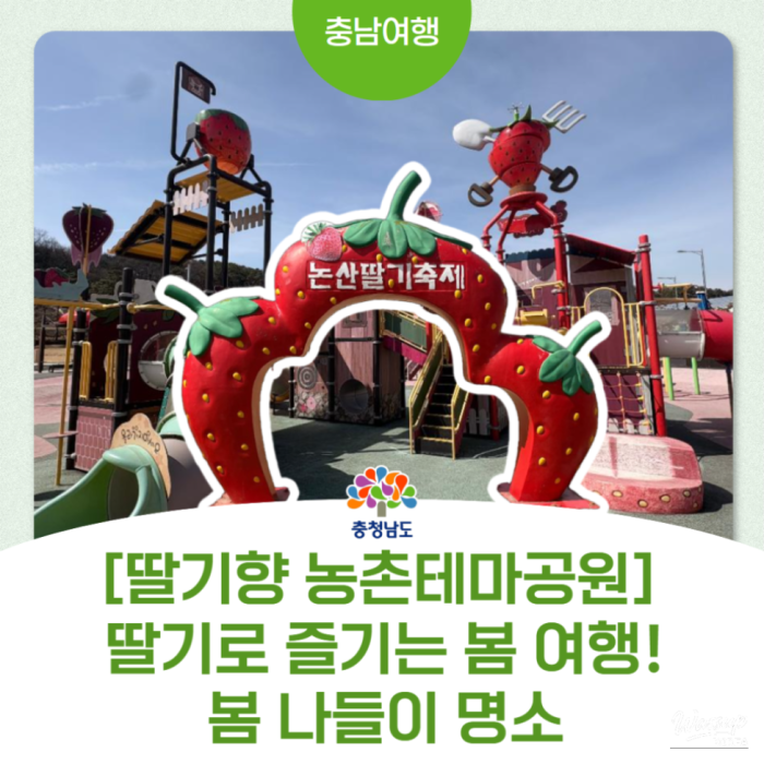 A Sweet Spring Journey Following the Scent of Strawberries2772