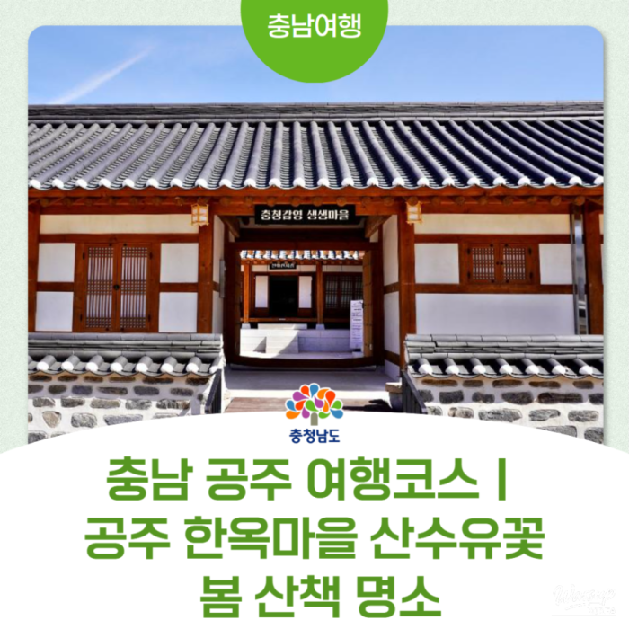 Experience Spring at Gongju Hanok Village2774
