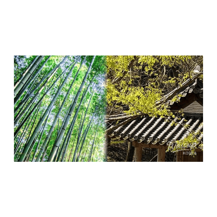 Top 4 Day Trip Destinations in Damyang, South Korea2775