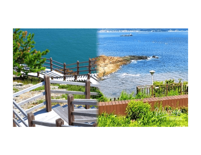Top 4 Coastal Walking Trails to Enjoy Spring by the Sea in Korea float