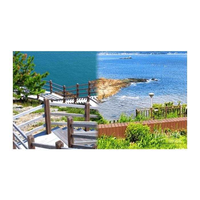 Top 4 Coastal Walking Trails to Enjoy Spring by the Sea in Korea2770