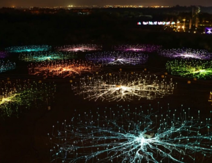 Discover Jeju LAF: A Unique Cultural Space float