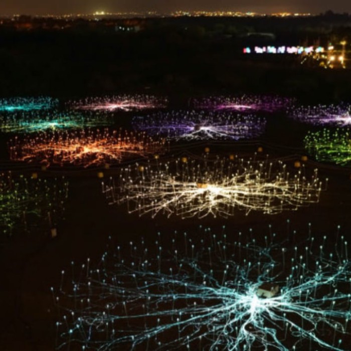 Discover Jeju LAF: A Unique Cultural Space2785