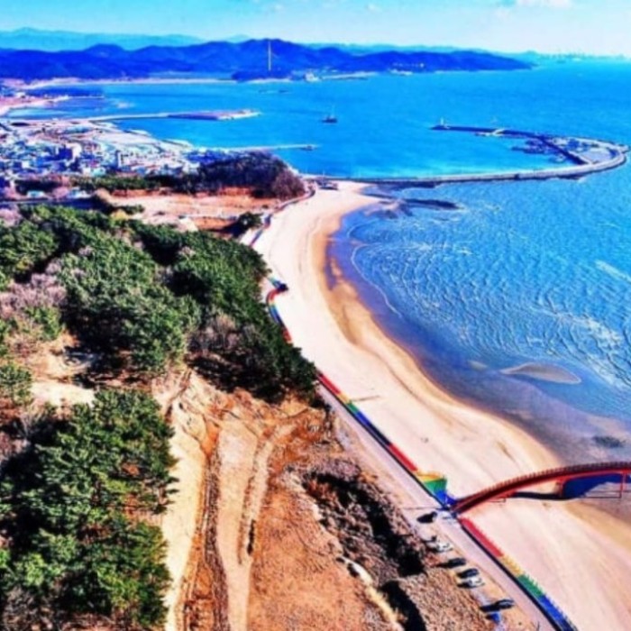 Discover the Namdang Port Shellfish Festival2784