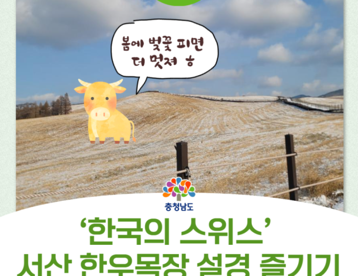 A Winter's Walk in Seosan Hanwoo Ranch float