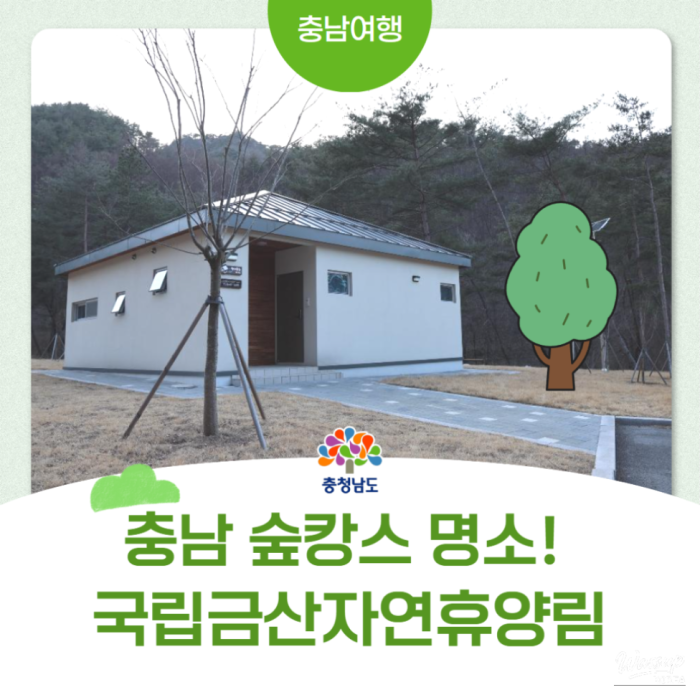 Exploring the Tranquility of the National Geumsan Natural Recreation Forest2779
