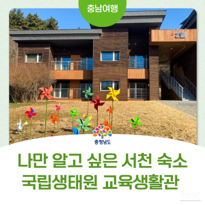 A Hidden Gem: The Ecological Education Center in Seocheon2780