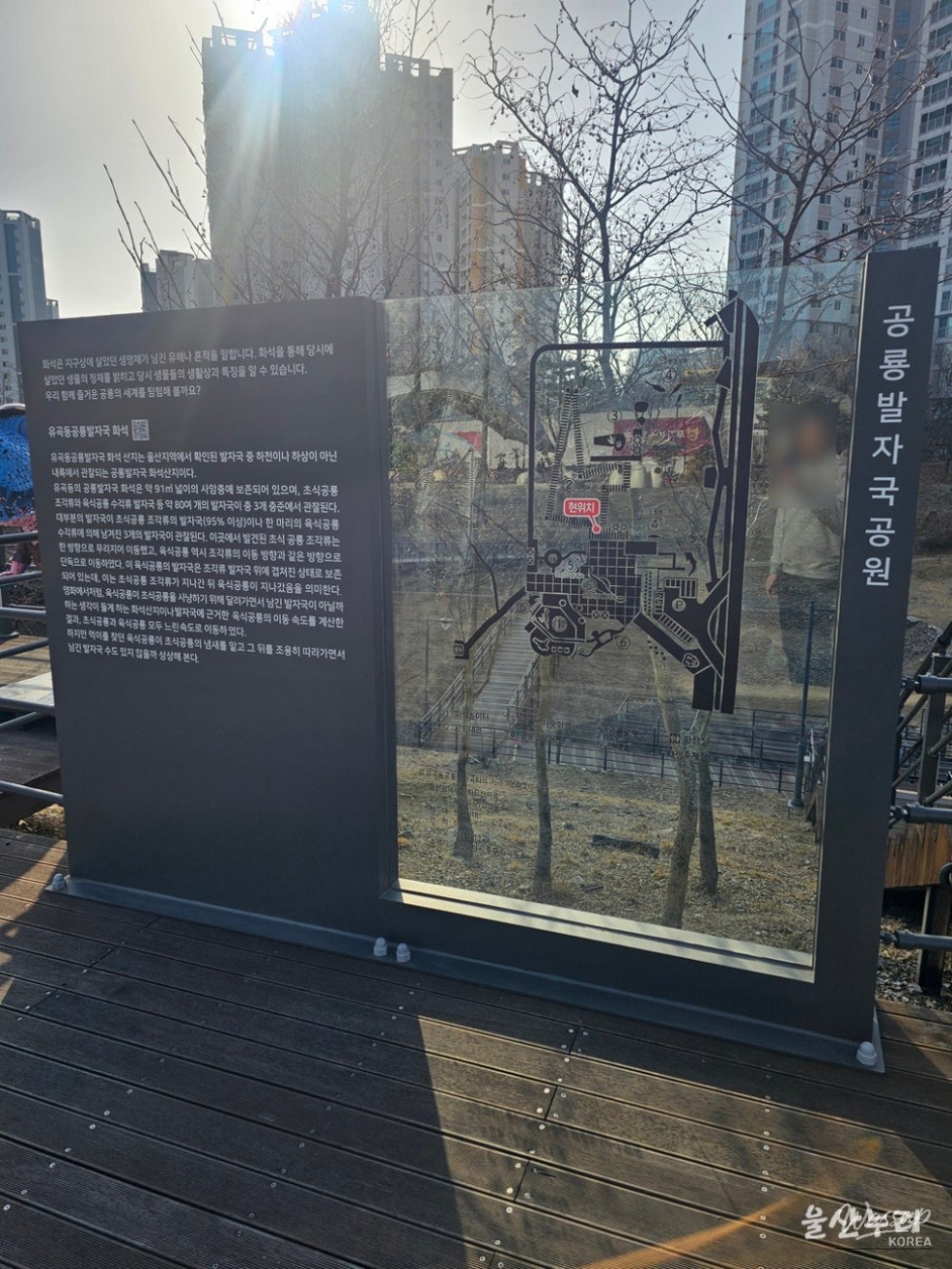 Exploring the Unique Charm of Ulsan Dinosaur Footprint Park_05