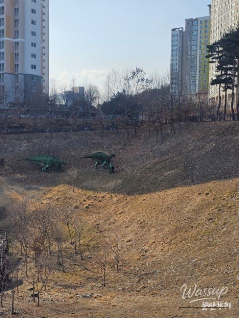Exploring the Unique Charm of Ulsan Dinosaur Footprint Park_09