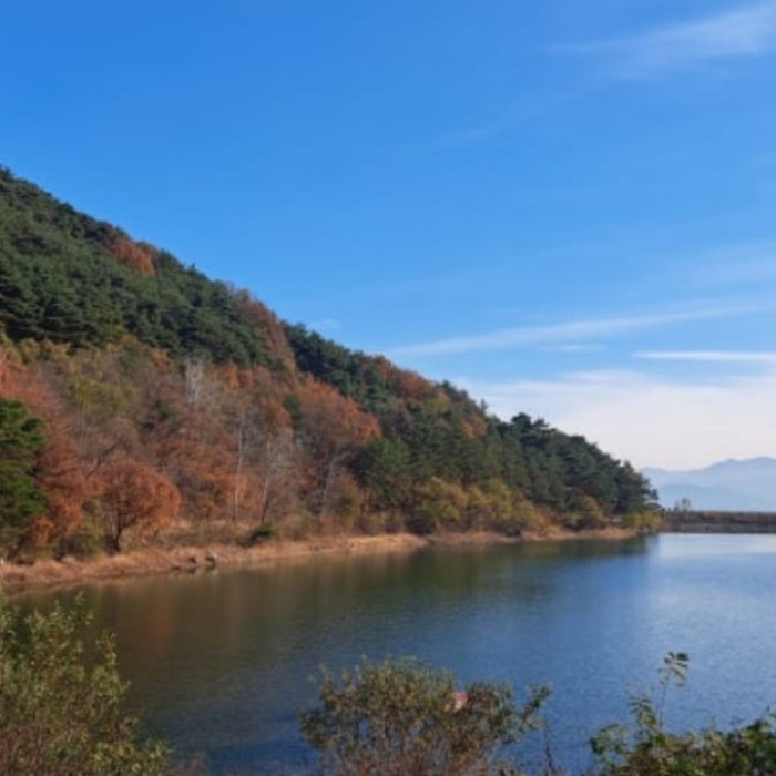 Exploring Yeongcheon Lake: A Serene Getaway2793
