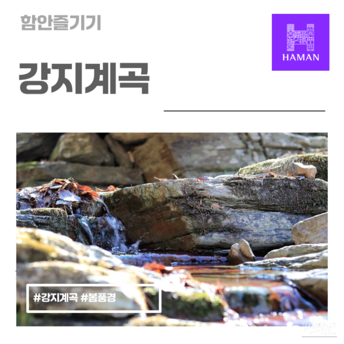 Spring Awakening at Gangji Valley1464