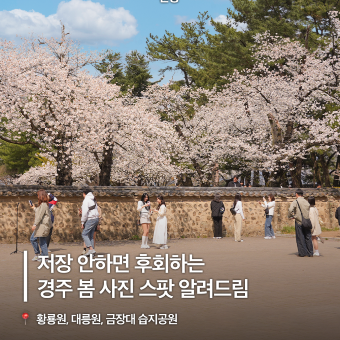 Spring Photo Spots in Gyeongju2802