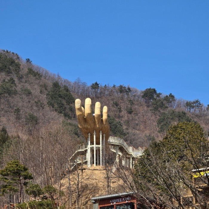 Exploring Geochang Forest Leisure Sports Park2790