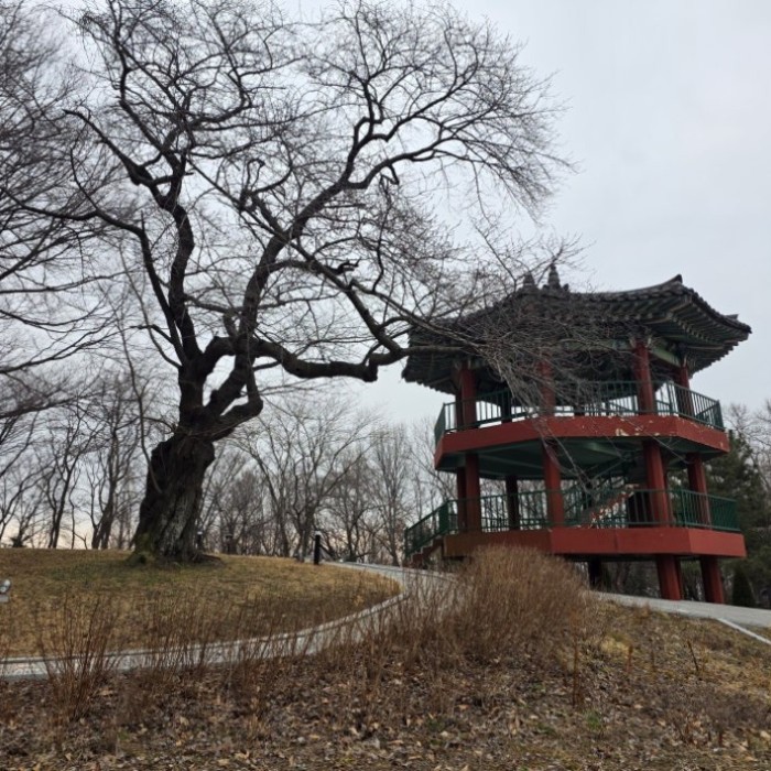 A Healing Park Perfect for Family Outings2800