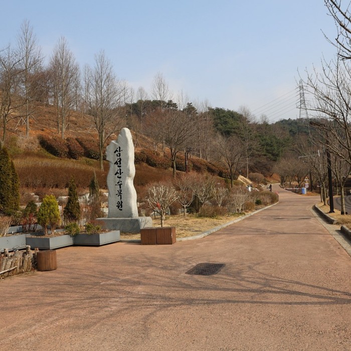 Spring Awakens at Sangseonsan Arboretum2799