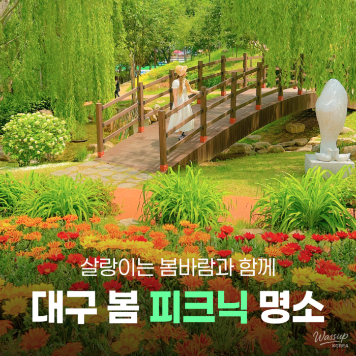 Spring Picnic Spots in Daegu1465