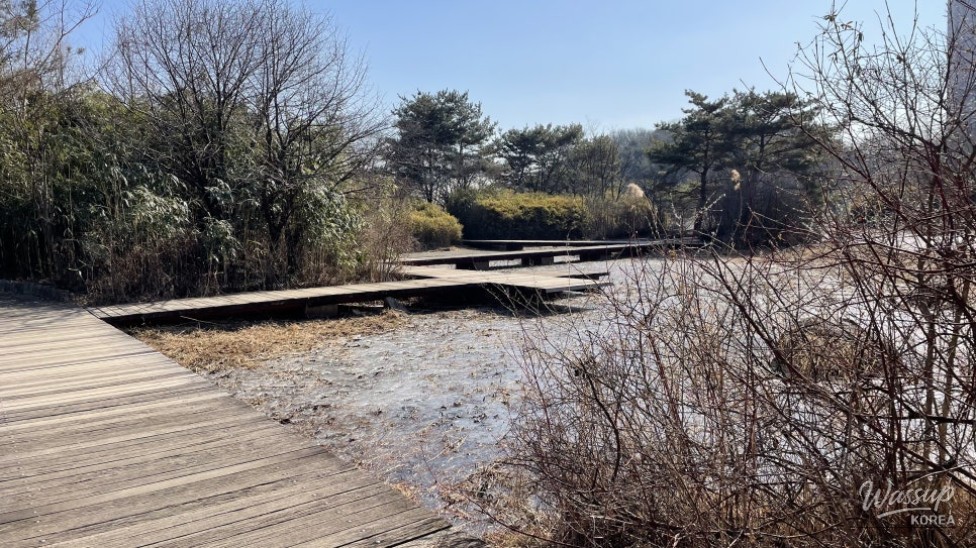 Discovering Hidden Gems in Goyang City: A Winter Walk_04