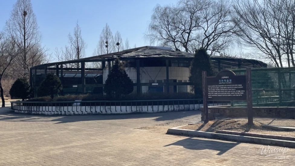 Discovering Hidden Gems in Goyang City: A Winter Walk_02