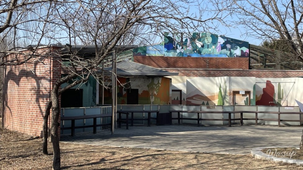 Discovering Hidden Gems in Goyang City: A Winter Walk_03