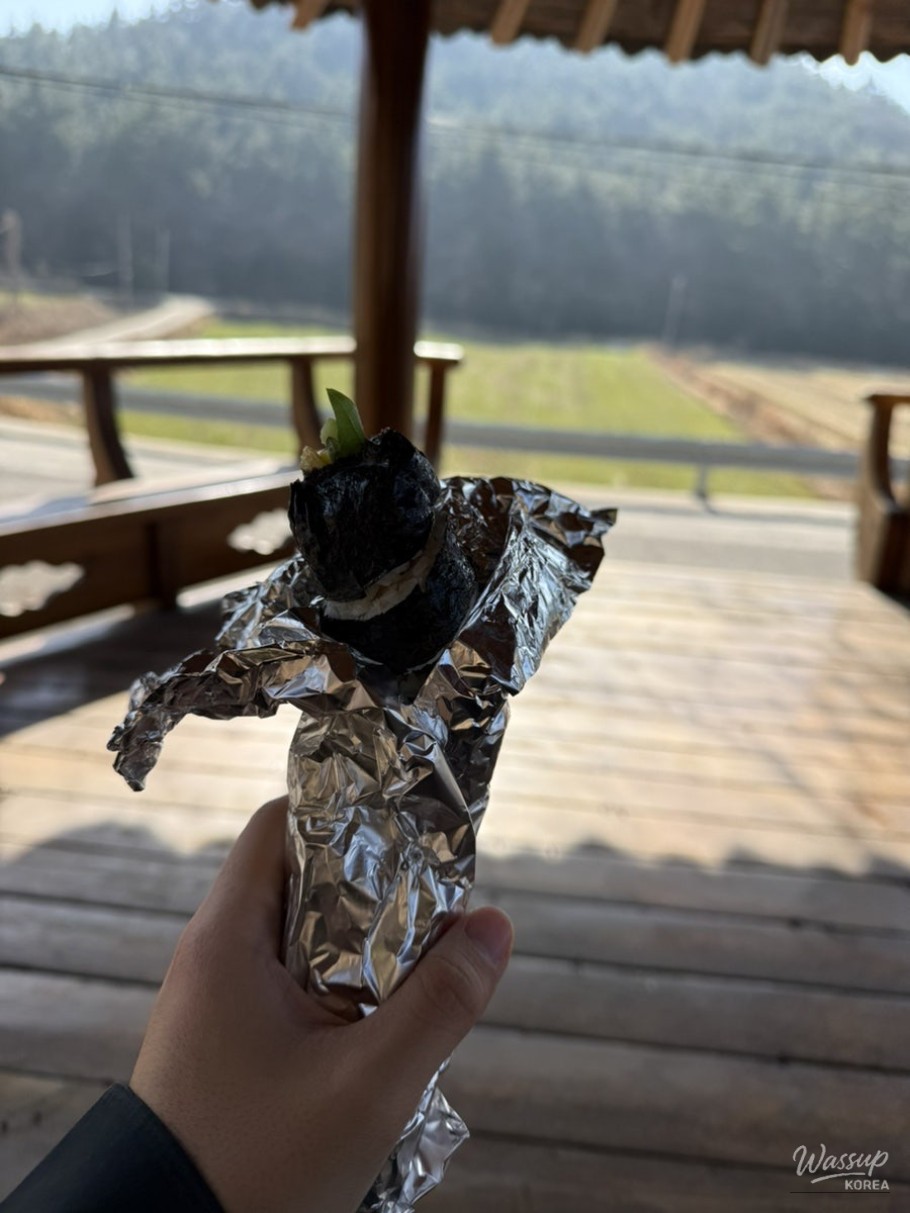 A Joyful Reflection_18