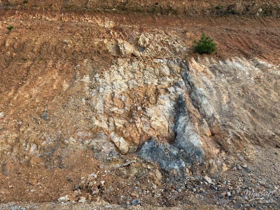 A Joyful Reflection_12