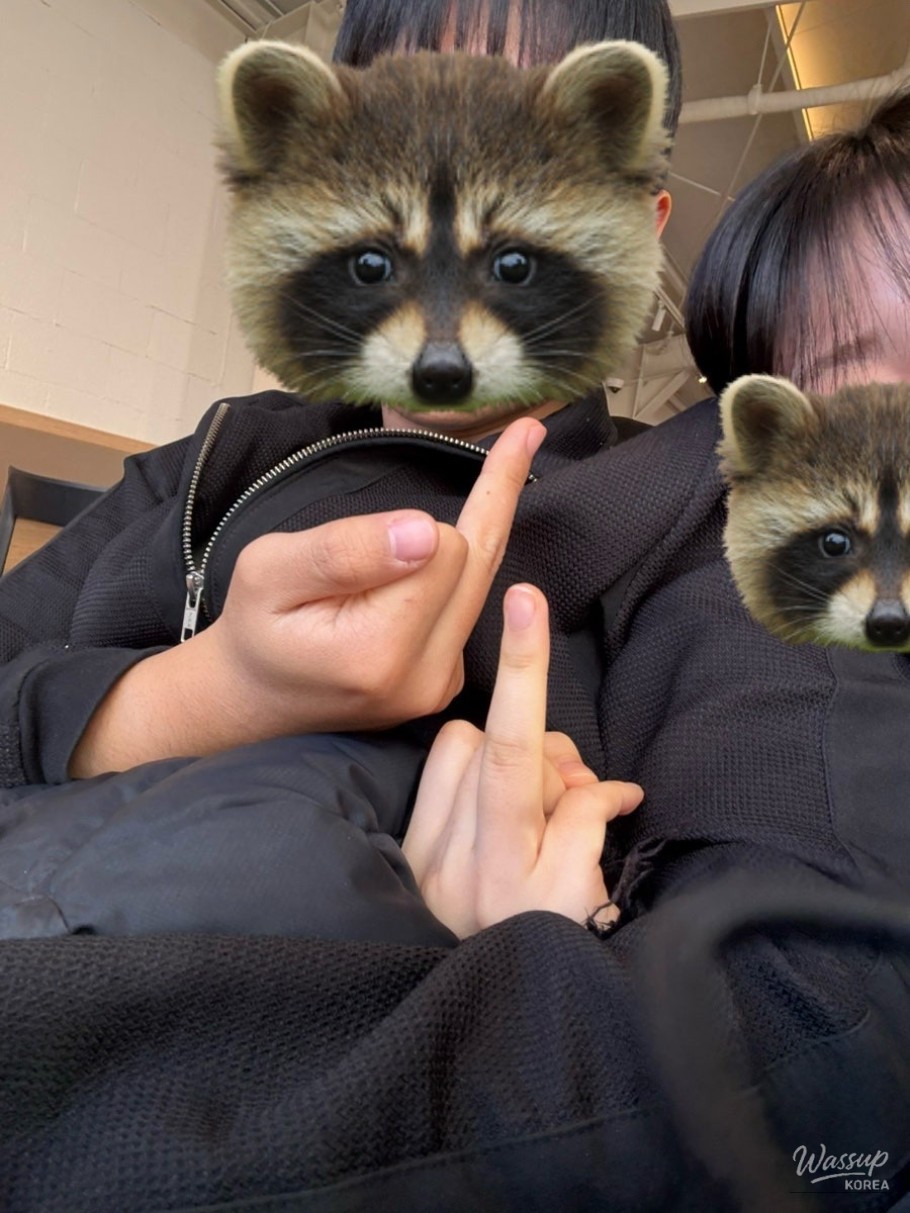 A Joyful Reflection_14