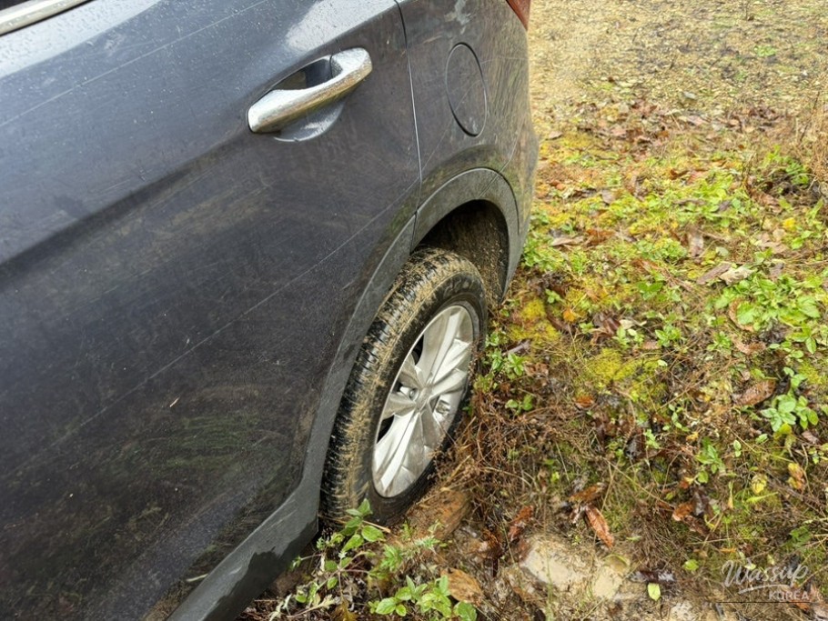 A Joyful Reflection_03