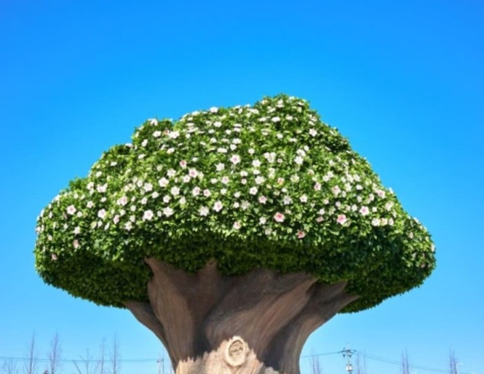 Exploring the Serenity of Supulnuri Park float