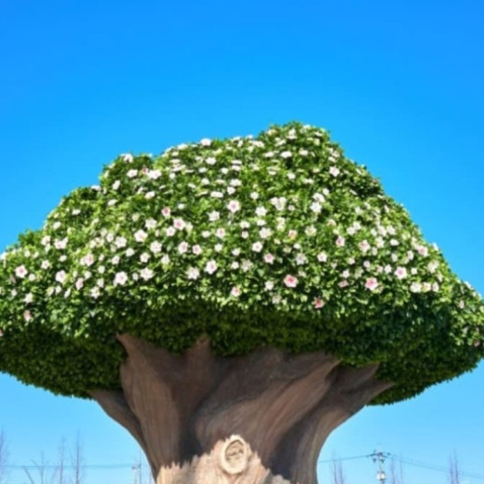 Exploring the Serenity of Supulnuri Park2810