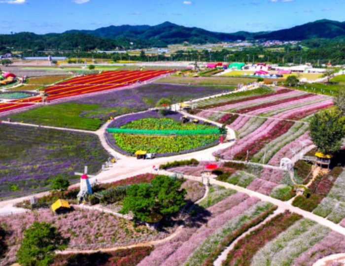 Exploring the Beautiful Goseokjeong Flower Garden in Cheorwon float