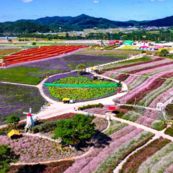 Exploring the Beautiful Goseokjeong Flower Garden in Cheorwon2813
