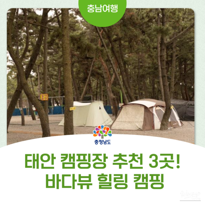 Exploring the Beautiful Camping Sites of Mongsanpo2812