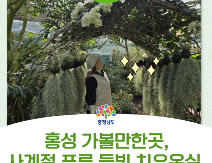 Discovering the Healing Greenhouse in Hongseong float
