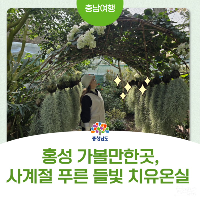 Discovering the Healing Greenhouse in Hongseong2822