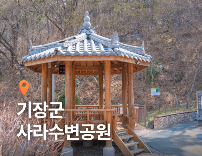 Discovering the Healing Beauty of Sarasu Waterfront Park in Gijang float