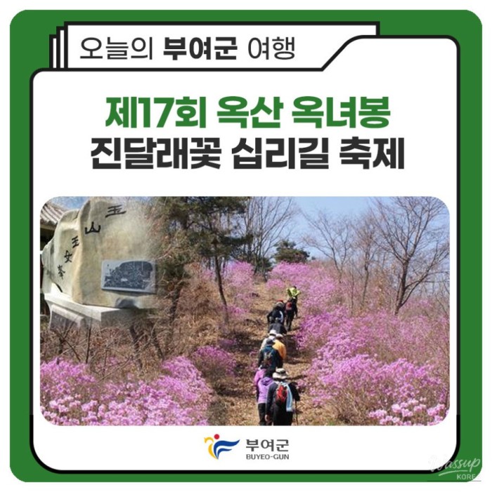 17th Oksan Oknyeobong Azalea Festival2814