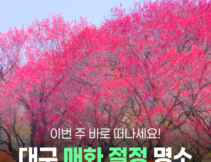 Discovering the Spring Blooms at Namgyeong Moon Clan's Bonri Residence float