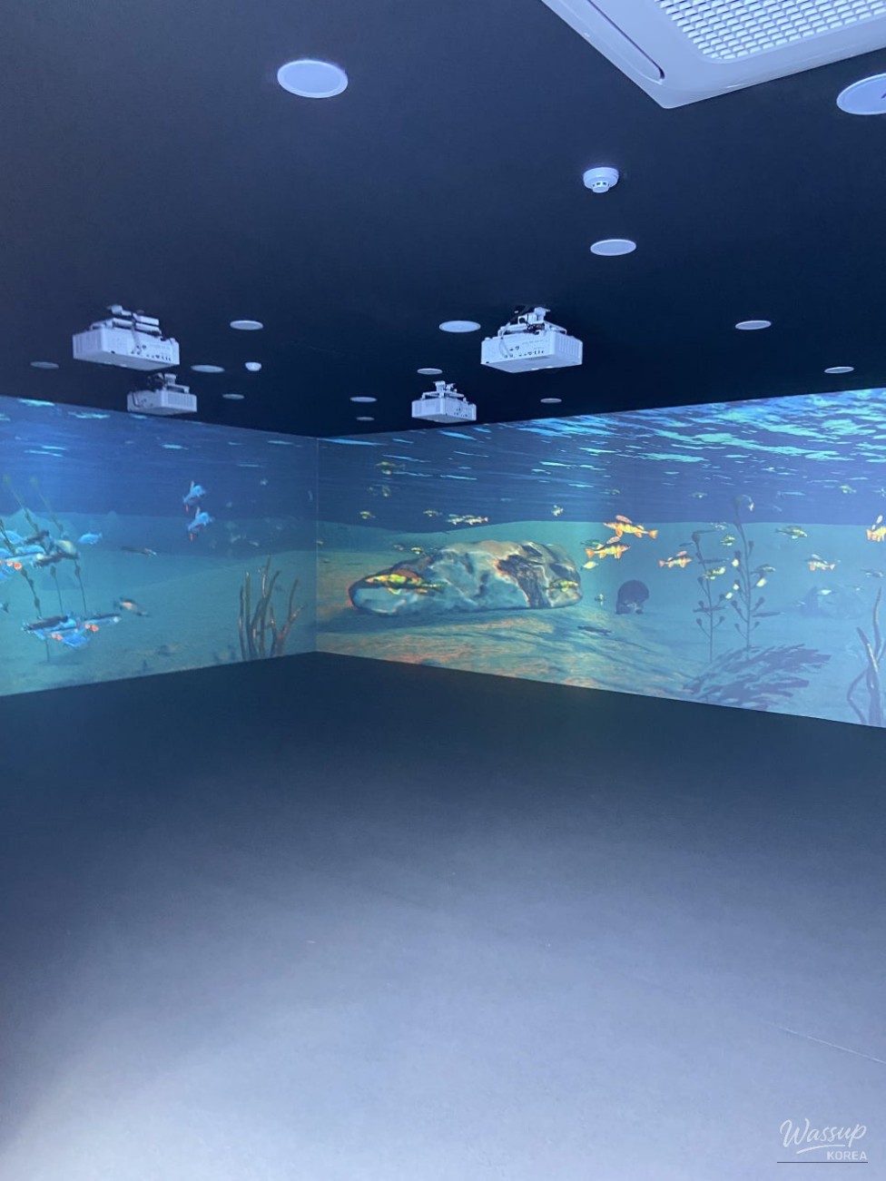 Exploring the Insect Experience Center in Cheongbuk with Kids_05