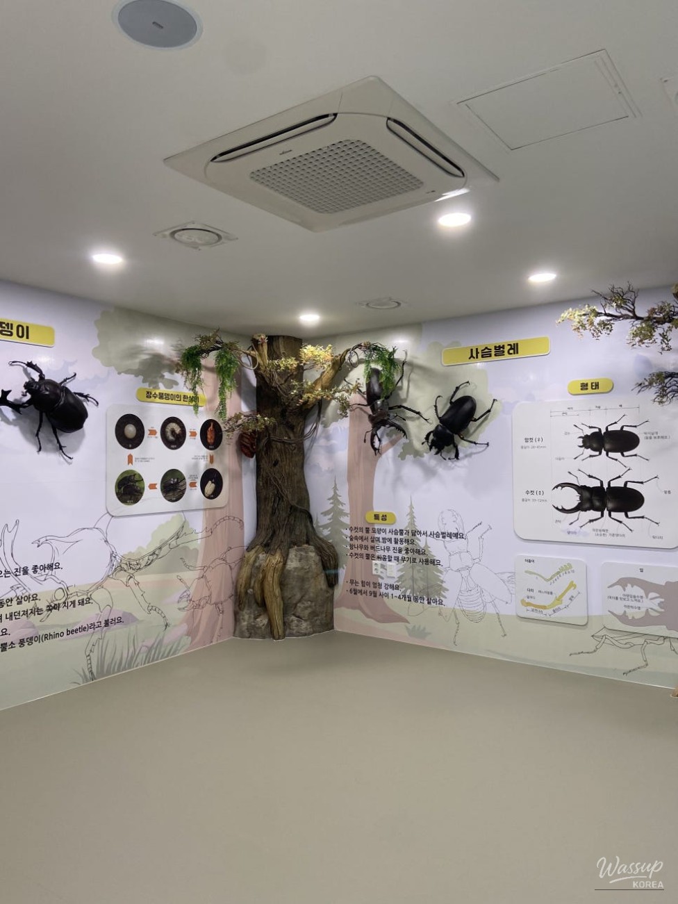 Exploring the Insect Experience Center in Cheongbuk with Kids_09