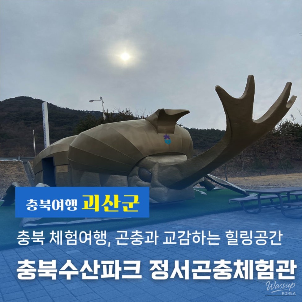 Exploring the Insect Experience Center in Cheongbuk with Kids_01