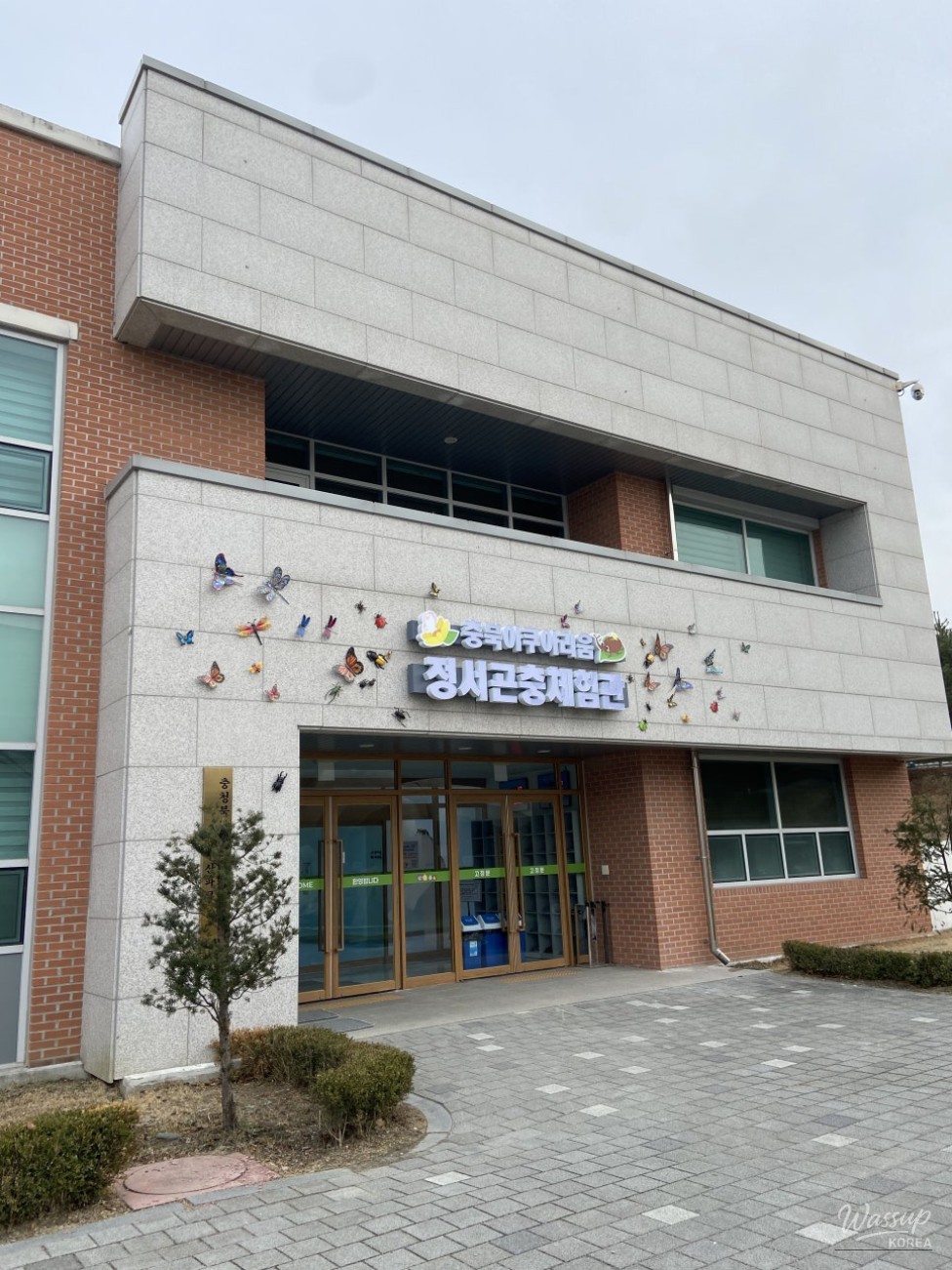 Exploring the Insect Experience Center in Cheongbuk with Kids_02