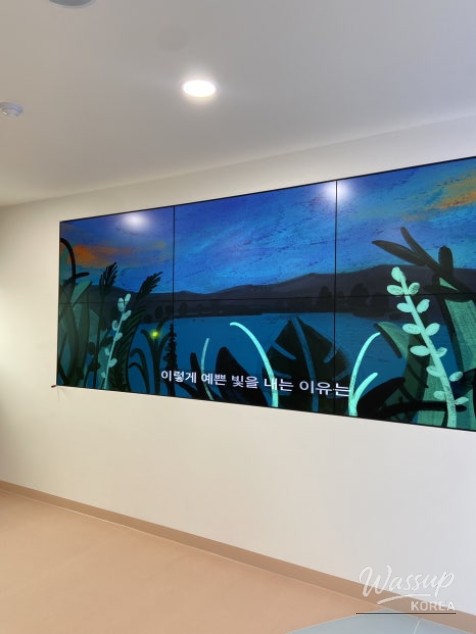 Exploring the Insect Experience Center in Cheongbuk with Kids_06