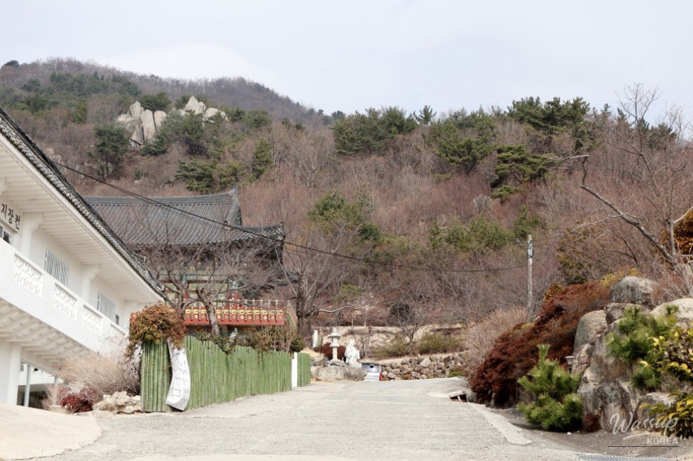 Exploring the Scenic Beauty of Ilgwangsan Mountain_03