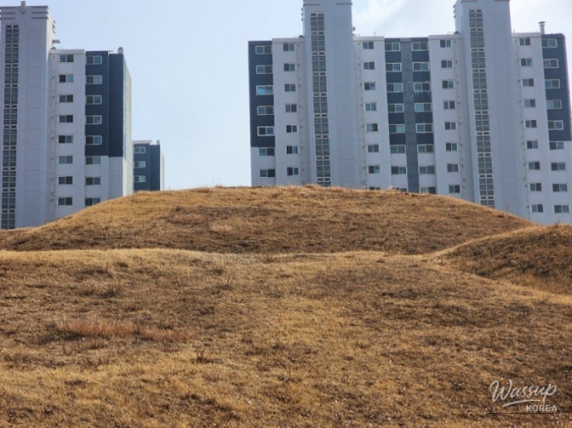 Exciting Discoveries in Our Neighborhood_03