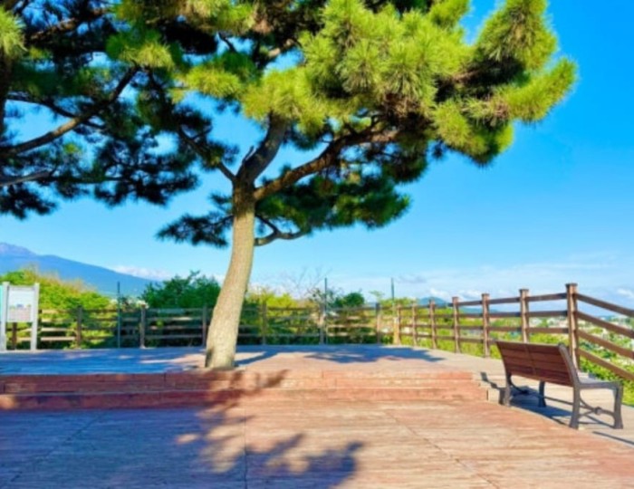 Exploring Beritneoreum: A Hidden Gem in Jeju float