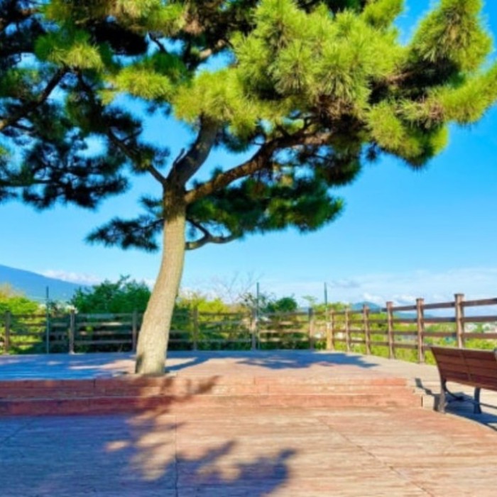 Exploring Beritneoreum: A Hidden Gem in Jeju2828